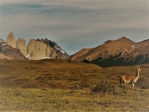 Torres del Paine : trek de 4,5 jours - 100km à pied !